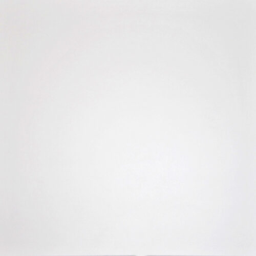 G-100/LR/600x600x10 Плитка G-100/LR/600x600x10 (1,44 кв.м.)