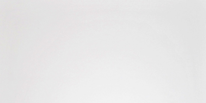 Плитка G-100/MR/300x600x10 (1,08 кв.м.)