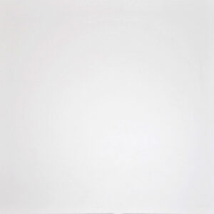 Плитка G-100/MR/600x600x 9 (1,80 кв.м.)