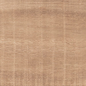 Плитка Идальго Хоум Граните Виктория Натуральный 1200x295 SR (1,416 кв.м.)