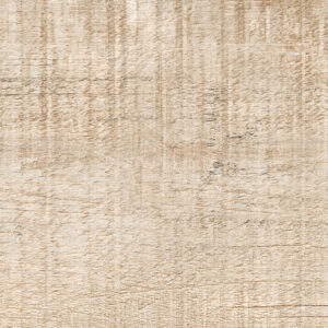 Плитка Идальго Граните Вуд Эго Светло-бежевый 1200x195 SR (1,638 кв.м)